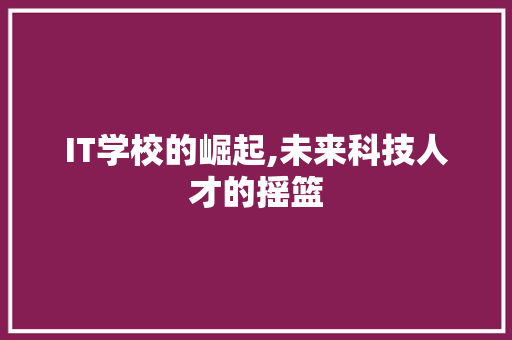 IT学校的崛起,未来科技人才的摇篮