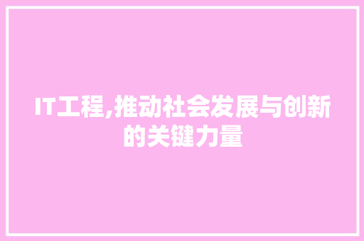 IT工程,推动社会发展与创新的关键力量