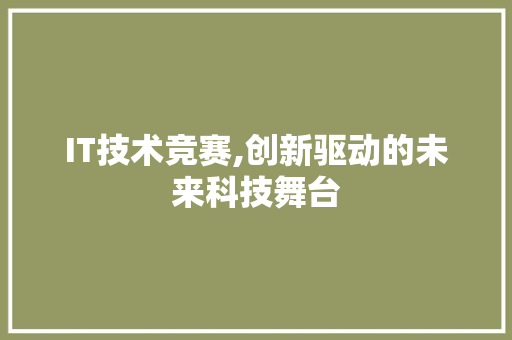 IT技术竞赛,创新驱动的未来科技舞台