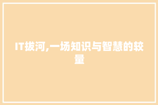 IT拔河,一场知识与智慧的较量