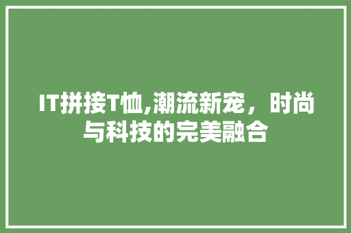 IT拼接T恤,潮流新宠，时尚与科技的完美融合