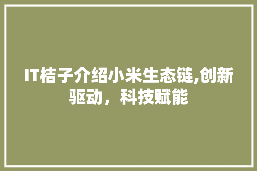 IT桔子介绍小米生态链,创新驱动，科技赋能