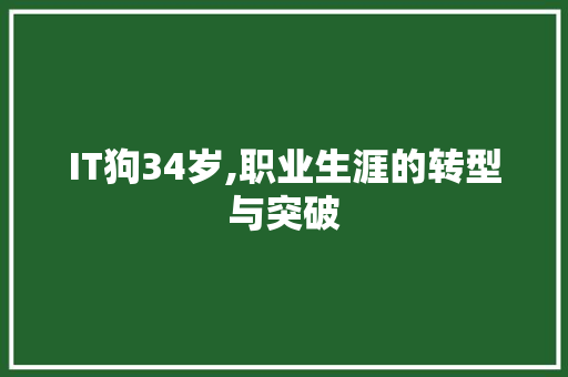 IT狗34岁,职业生涯的转型与突破