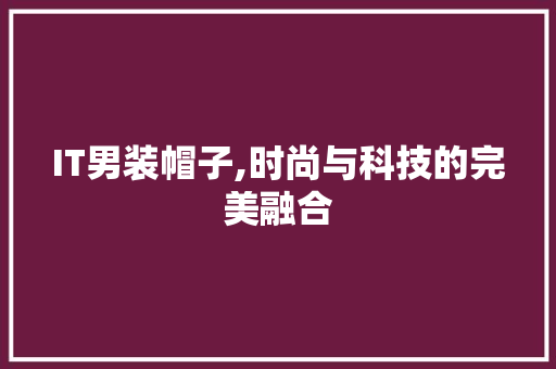 IT男装帽子,时尚与科技的完美融合