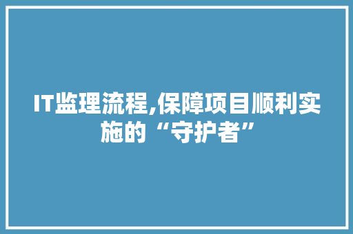 IT监理流程,保障项目顺利实施的“守护者”