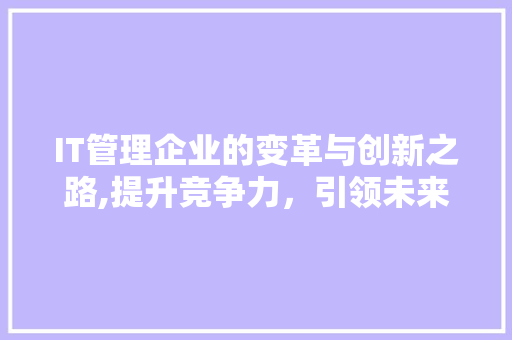 IT管理企业的变革与创新之路,提升竞争力，引领未来