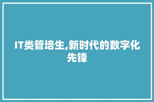 IT类管培生,新时代的数字化先锋