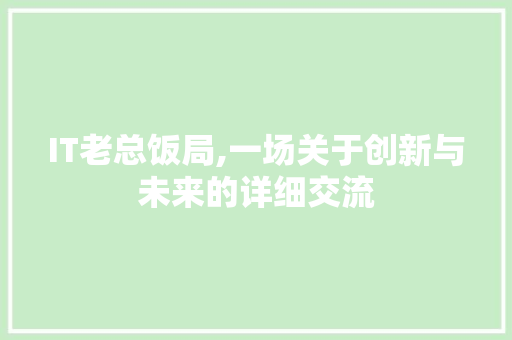 IT老总饭局,一场关于创新与未来的详细交流