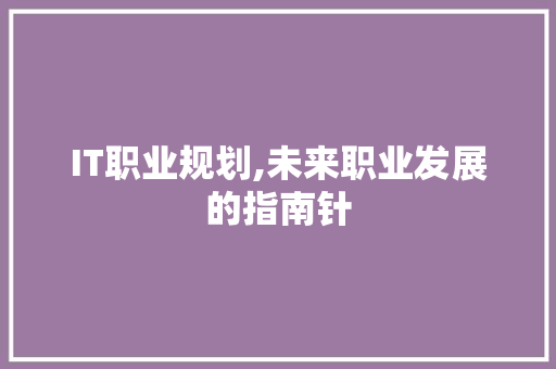 IT职业规划,未来职业发展的指南针