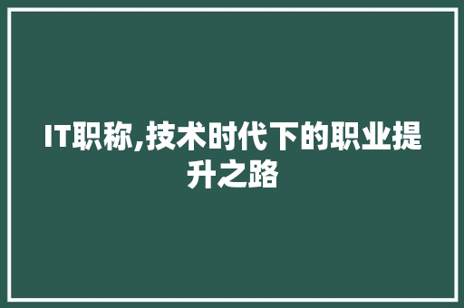 IT职称,技术时代下的职业提升之路