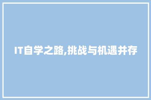 IT自学之路,挑战与机遇并存