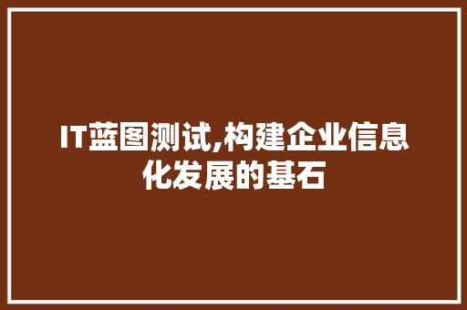 IT蓝图测试,构建企业信息化发展的基石