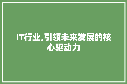 IT行业,引领未来发展的核心驱动力