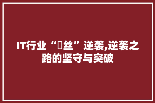 IT行业“屌丝”逆袭,逆袭之路的坚守与突破
