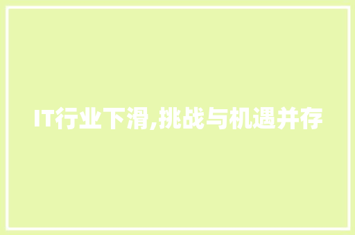 IT行业下滑,挑战与机遇并存
