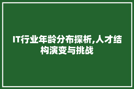 IT行业年龄分布探析,人才结构演变与挑战