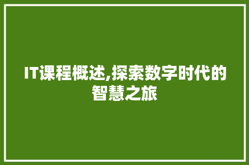 IT课程概述,探索数字时代的智慧之旅