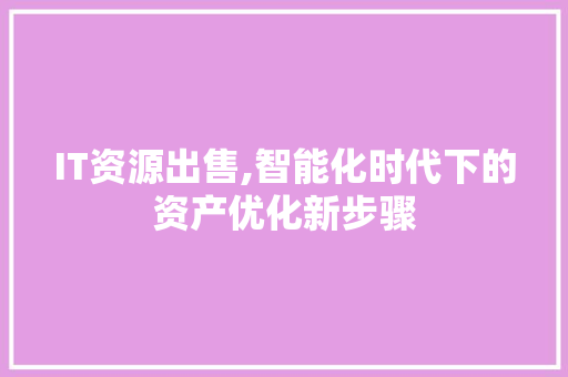IT资源出售,智能化时代下的资产优化新步骤