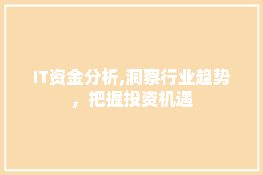 IT资金分析,洞察行业趋势，把握投资机遇