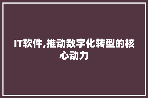 IT软件,推动数字化转型的核心动力