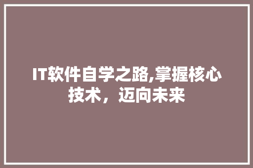 IT软件自学之路,掌握核心技术，迈向未来