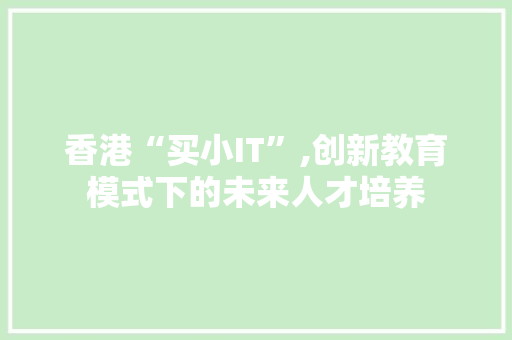 香港“买小IT”,创新教育模式下的未来人才培养