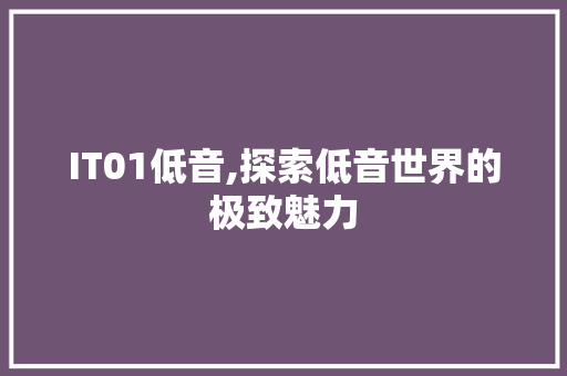 IT01低音,探索低音世界的极致魅力