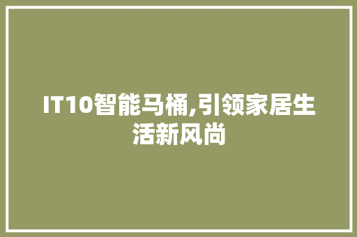 IT10智能马桶,引领家居生活新风尚