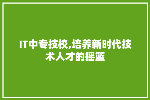 IT中专技校,培养新时代技术人才的摇篮