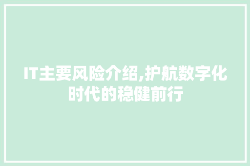 IT主要风险介绍,护航数字化时代的稳健前行