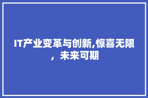 IT产业变革与创新,惊喜无限，未来可期