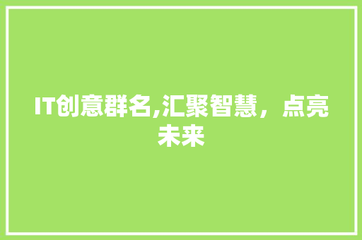 IT创意群名,汇聚智慧，点亮未来