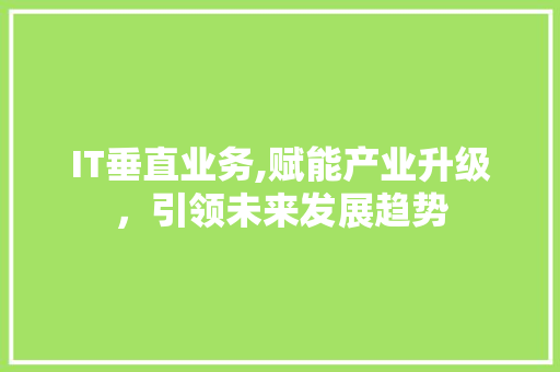 IT垂直业务,赋能产业升级，引领未来发展趋势