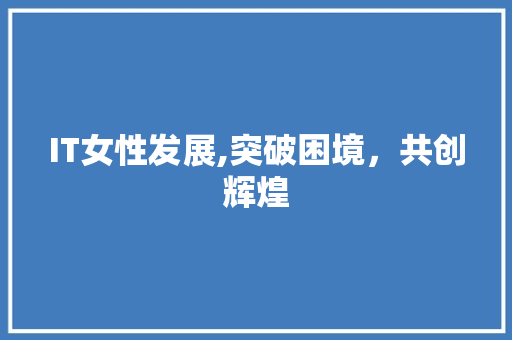 IT女性发展,突破困境，共创辉煌