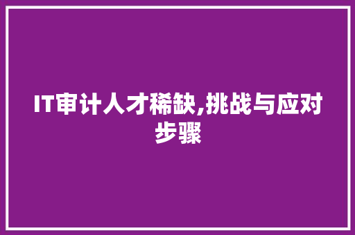 IT审计人才稀缺,挑战与应对步骤
