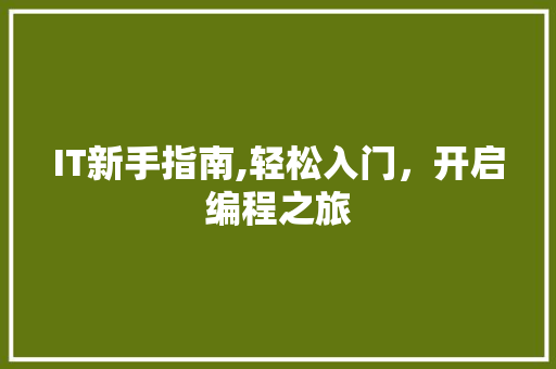 IT新手指南,轻松入门，开启编程之旅