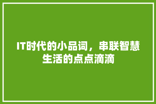 IT时代的小品词，串联智慧生活的点点滴滴