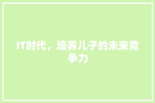 IT时代，培养儿子的未来竞争力