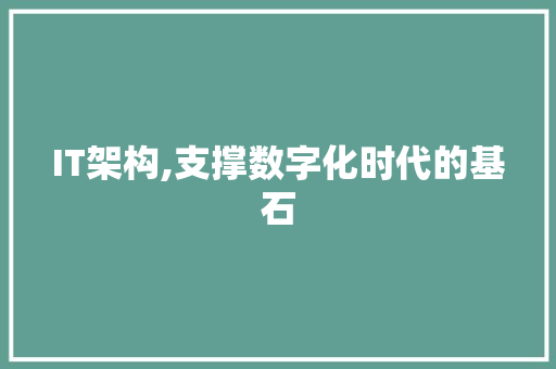 IT架构,支撑数字化时代的基石
