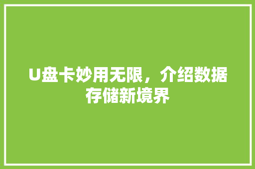 U盘卡妙用无限，介绍数据存储新境界