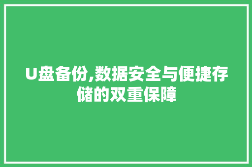 U盘备份,数据安全与便捷存储的双重保障