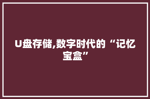 U盘存储,数字时代的“记忆宝盒”