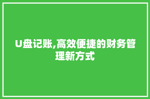 U盘记账,高效便捷的财务管理新方式