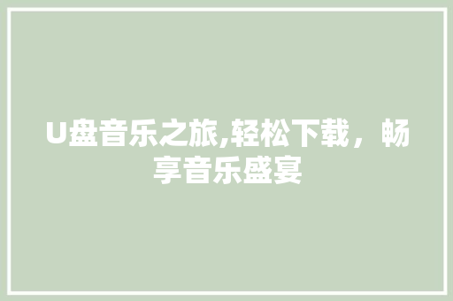 U盘音乐之旅,轻松下载，畅享音乐盛宴