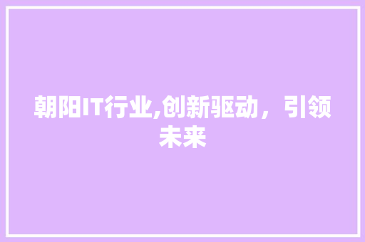 朝阳IT行业,创新驱动，引领未来