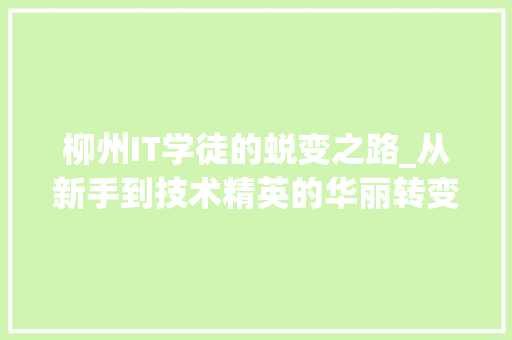 柳州IT学徒的蜕变之路_从新手到技术精英的华丽转变