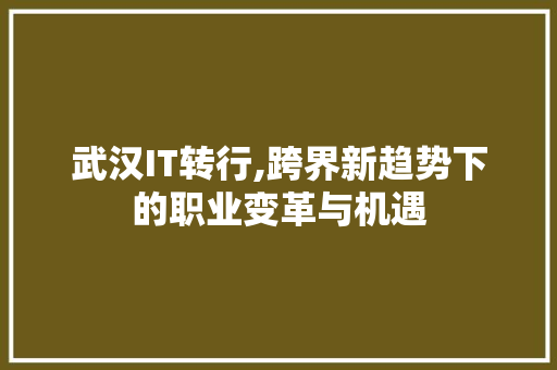 武汉IT转行,跨界新趋势下的职业变革与机遇
