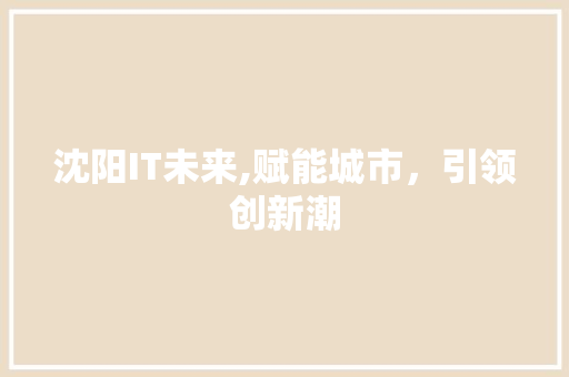 沈阳IT未来,赋能城市，引领创新潮