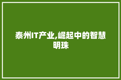 泰州IT产业,崛起中的智慧明珠