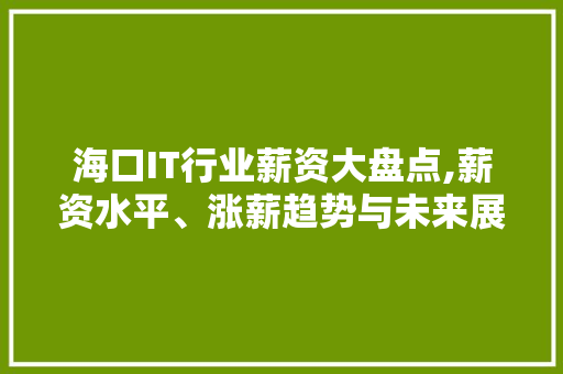 海口IT行业薪资大盘点,薪资水平、涨薪趋势与未来展望